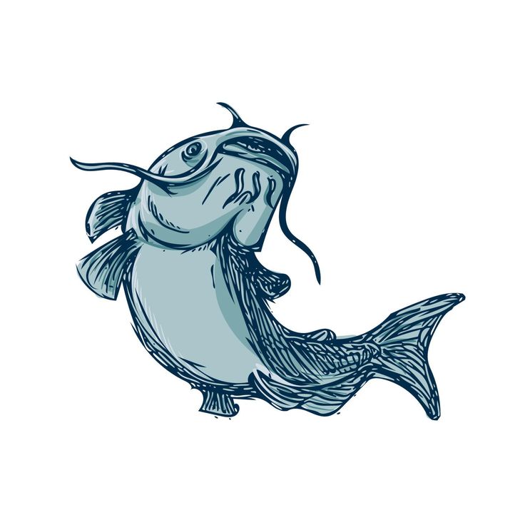 a drawing of a fish with its mouth open and it's tail hanging out