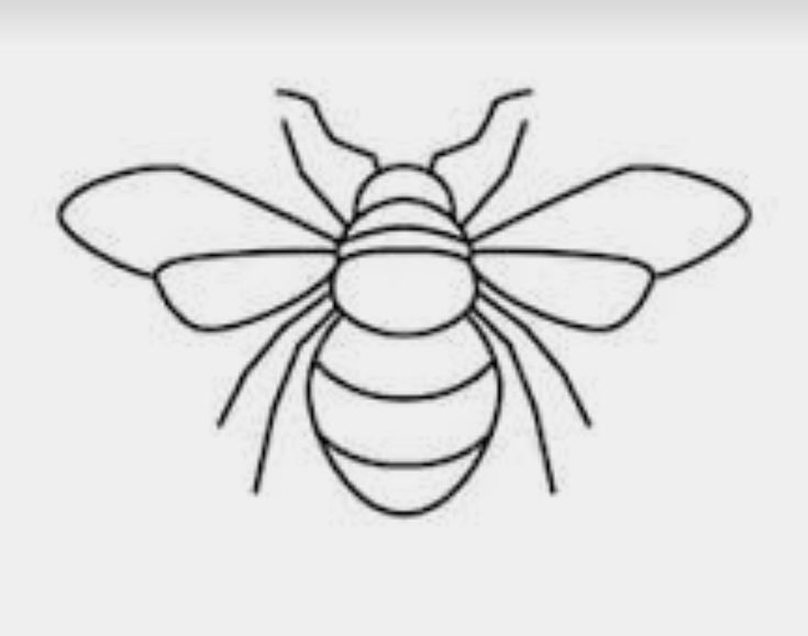 the outline of a bee on a white background