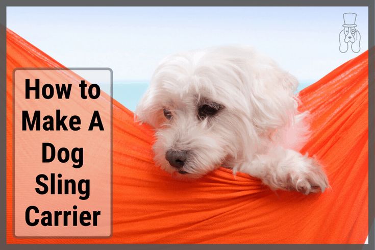 a white dog laying in a hammock with the words how to make a dog sling carrier