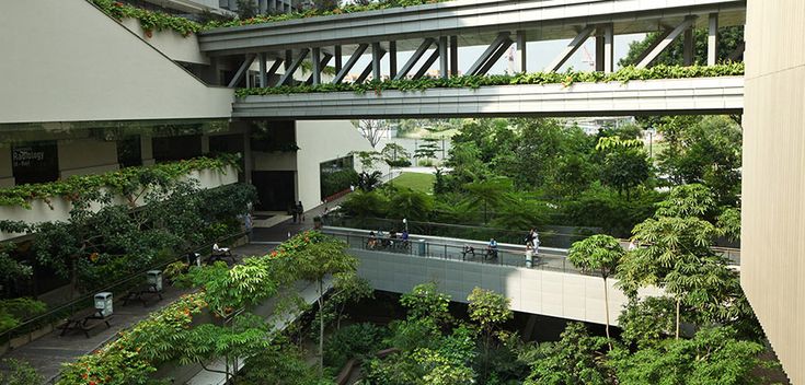 people are walking on the walkway between two buildings with trees and plants growing on them