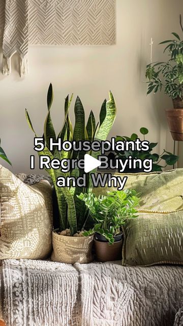 a bed with pillows and plants on it in front of a wall that says, 5 houseplants i regard buying and why