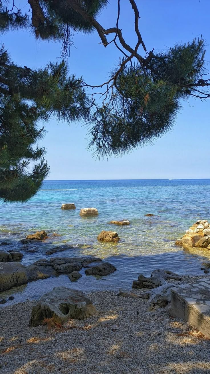 the water is crystal blue and there are rocks on the beach near the tree branches