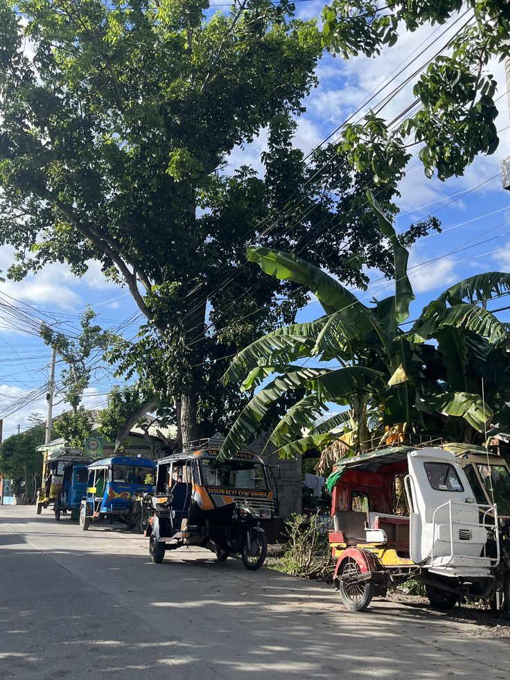 several trucks parked on the side of a road next to trees and power lines in front of them