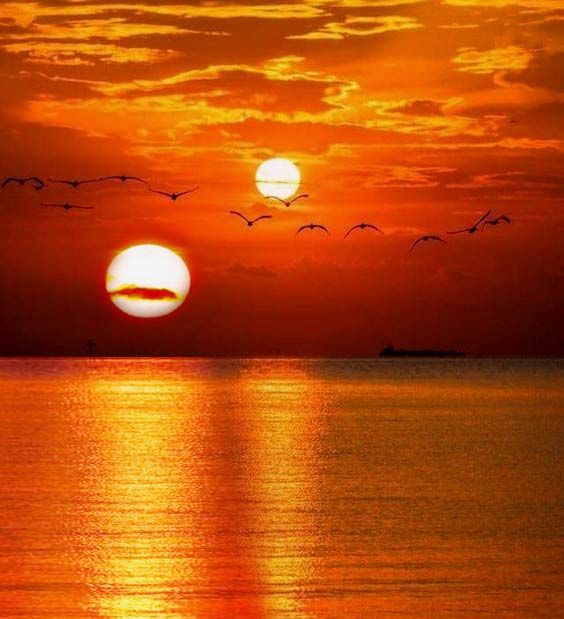 the sun is setting over the ocean with birds flying around