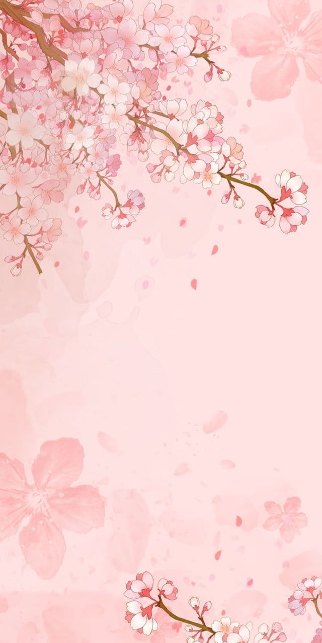 a pink background with flowers and leaves