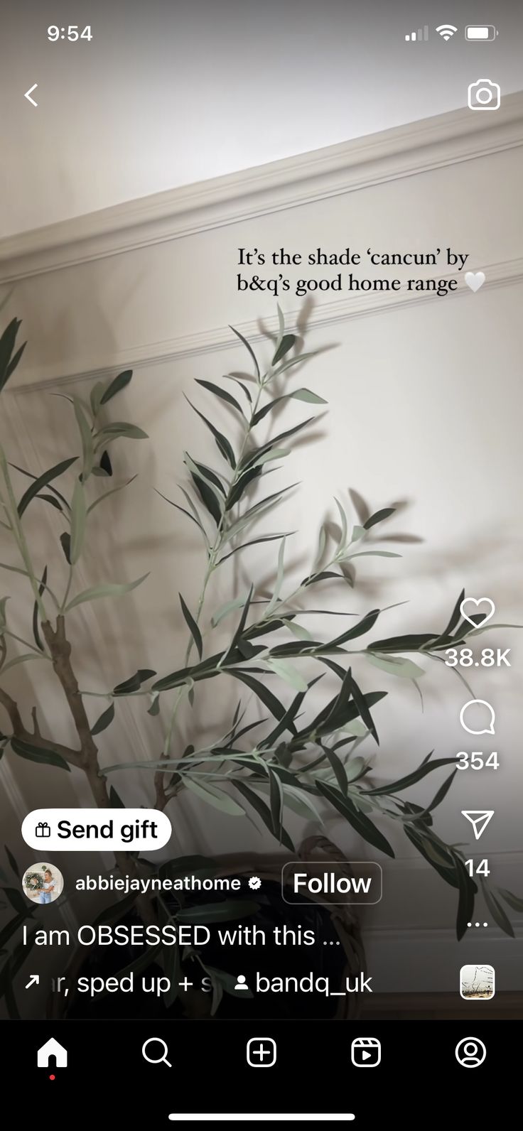 an image of a plant in the corner of a room that is decorated with text