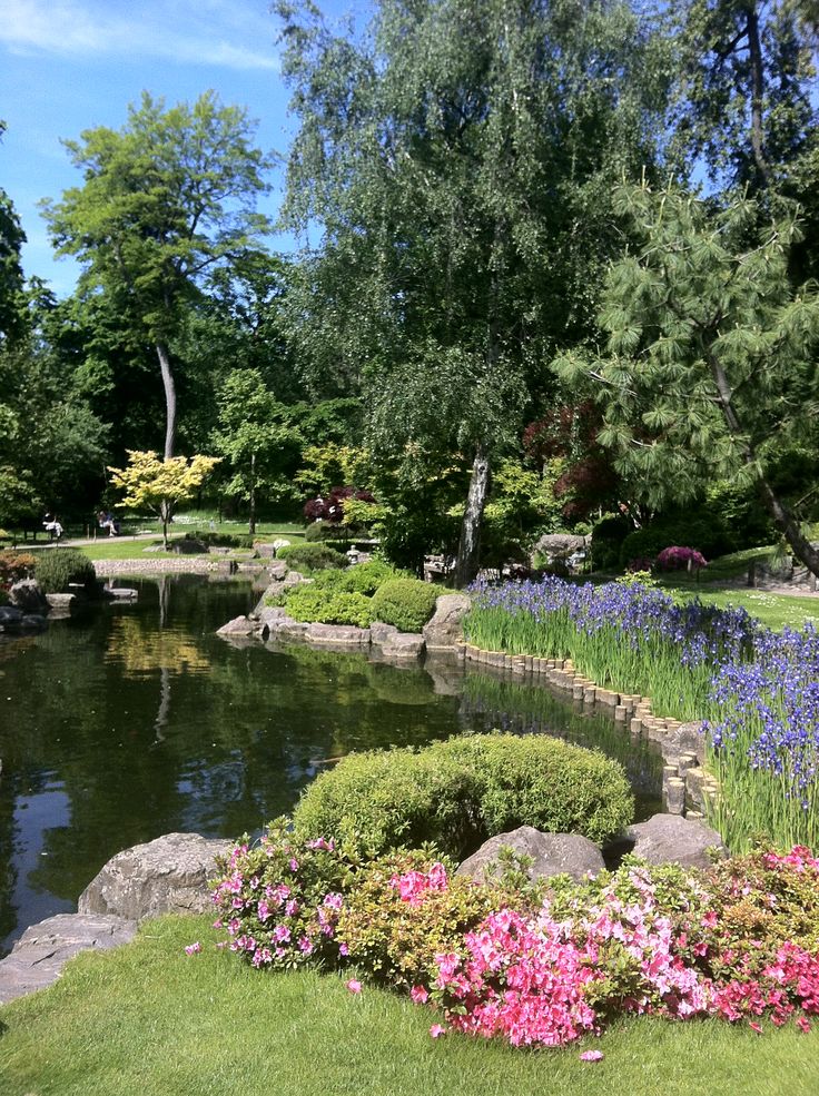 a pond surrounded by flowers and trees in the middle of a lush green park area