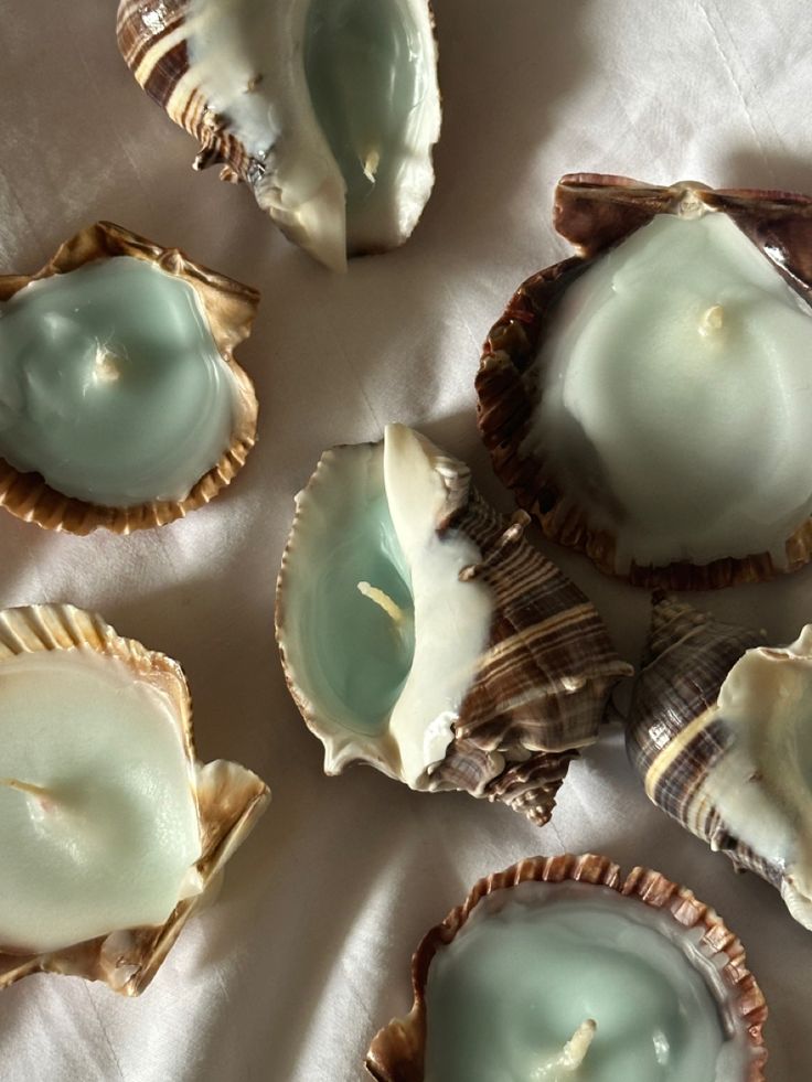 several seashells are arranged on a white tablecloth and one has a candle in the middle