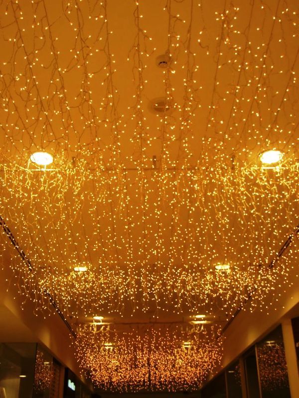 the ceiling is decorated with lights and branches