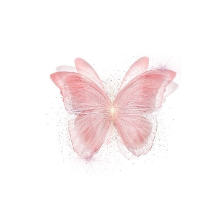 a pink butterfly on a white background