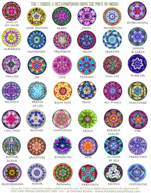 the different types of flowers and their meaningss in each circle, with words below them