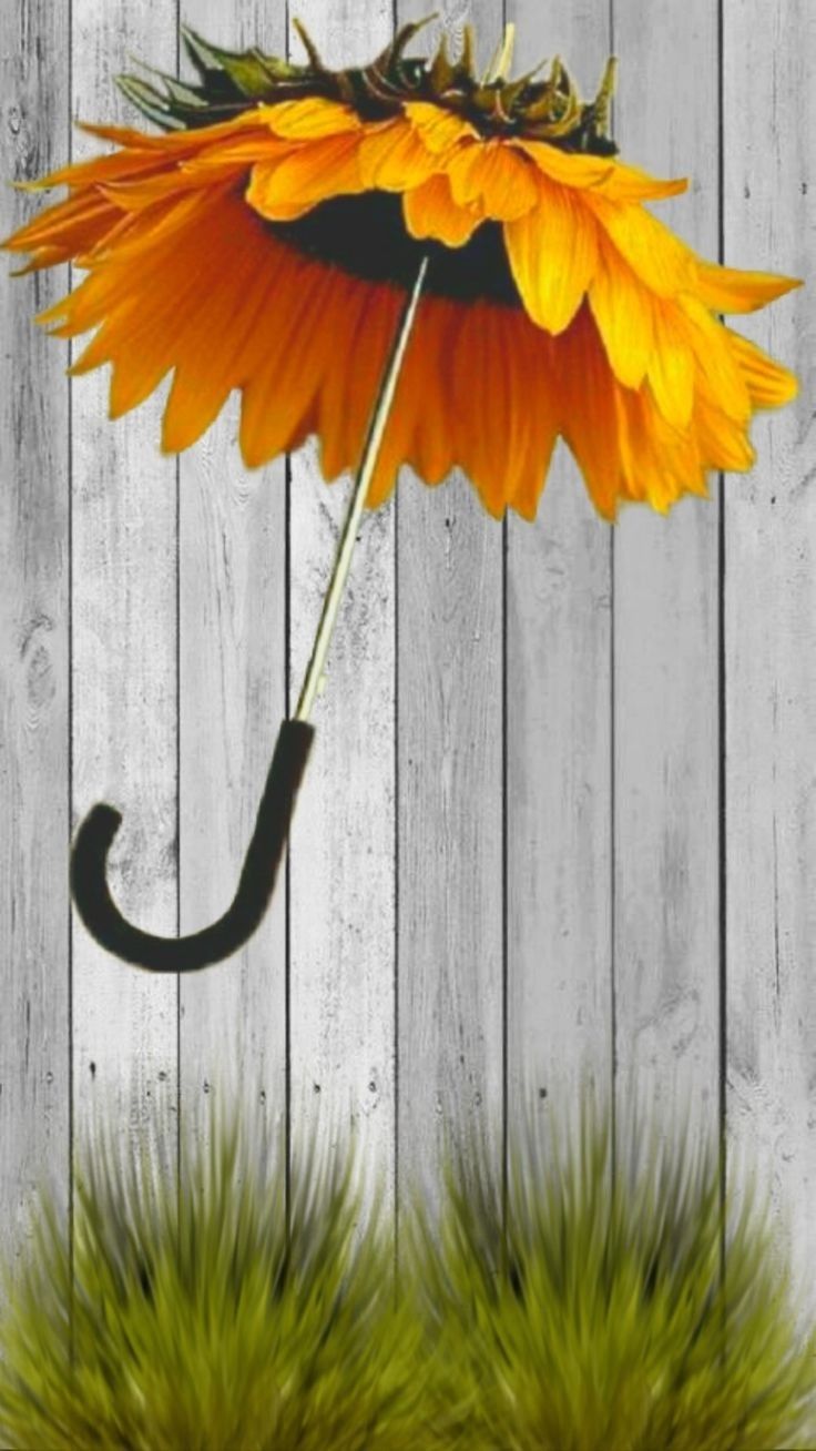 an orange flower with a black umbrella sticking out of it's center on top of grass