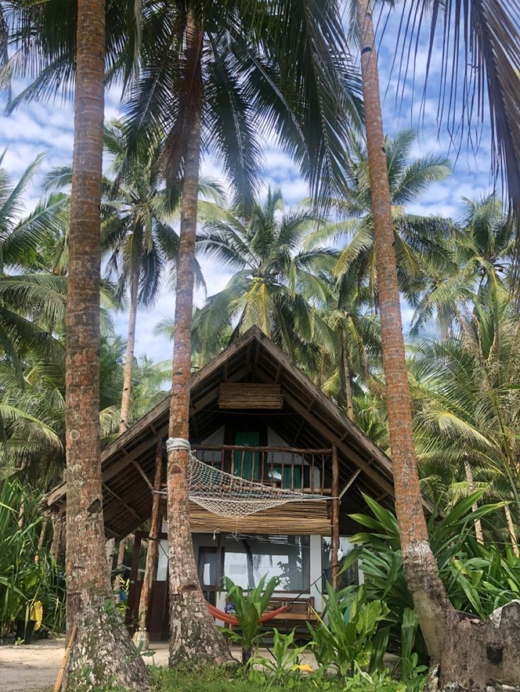 a small wooden house surrounded by palm trees and other greenery, with a hammock hanging from the roof