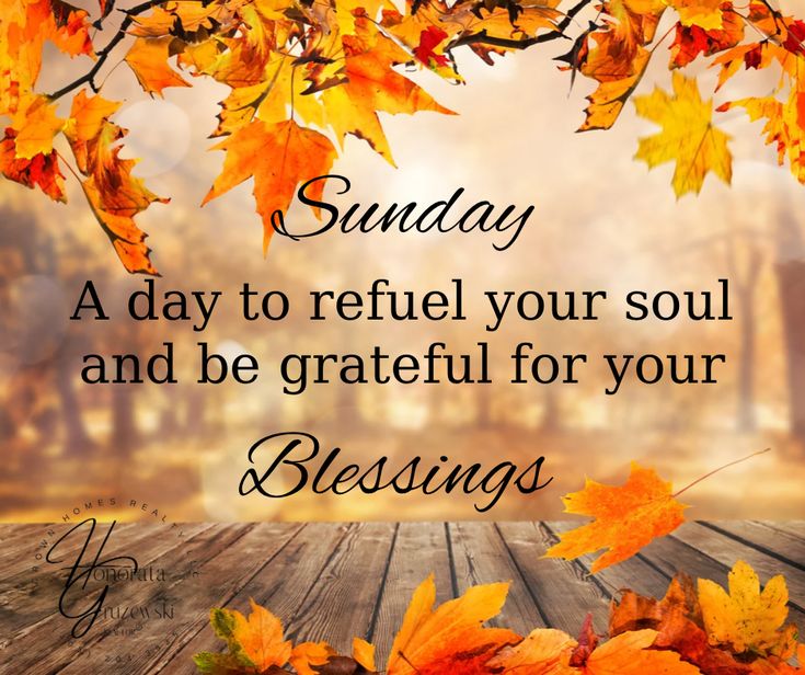 Inspirational text and beautiful picture with fall foliage. Autumn Sunday Blessings, Sunday Fall Morning Quotes, Fall Sunday Quotes, Fall Sunday Blessings, Thankful Sunday Blessings, Sunday Fall Quotes, Sunday Blessings Inspiration Faith, Fall Blessings Quotes, Sunday Greetings Blessing