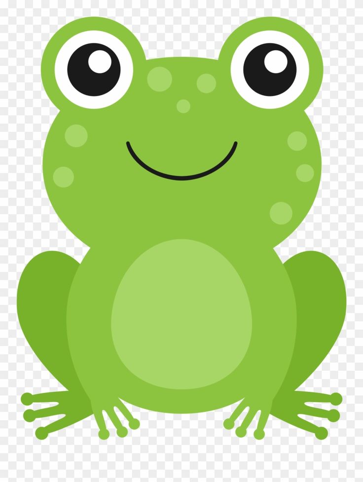 a green frog sitting on top of a white background