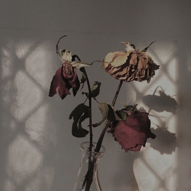 a vase filled with dead flowers on top of a table