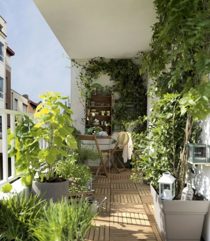 an outdoor patio with lots of plants and potted plants