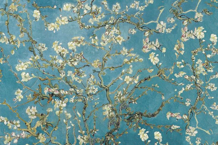 the branches of an almond tree with white flowers against a blue background, painted in oil on canvas