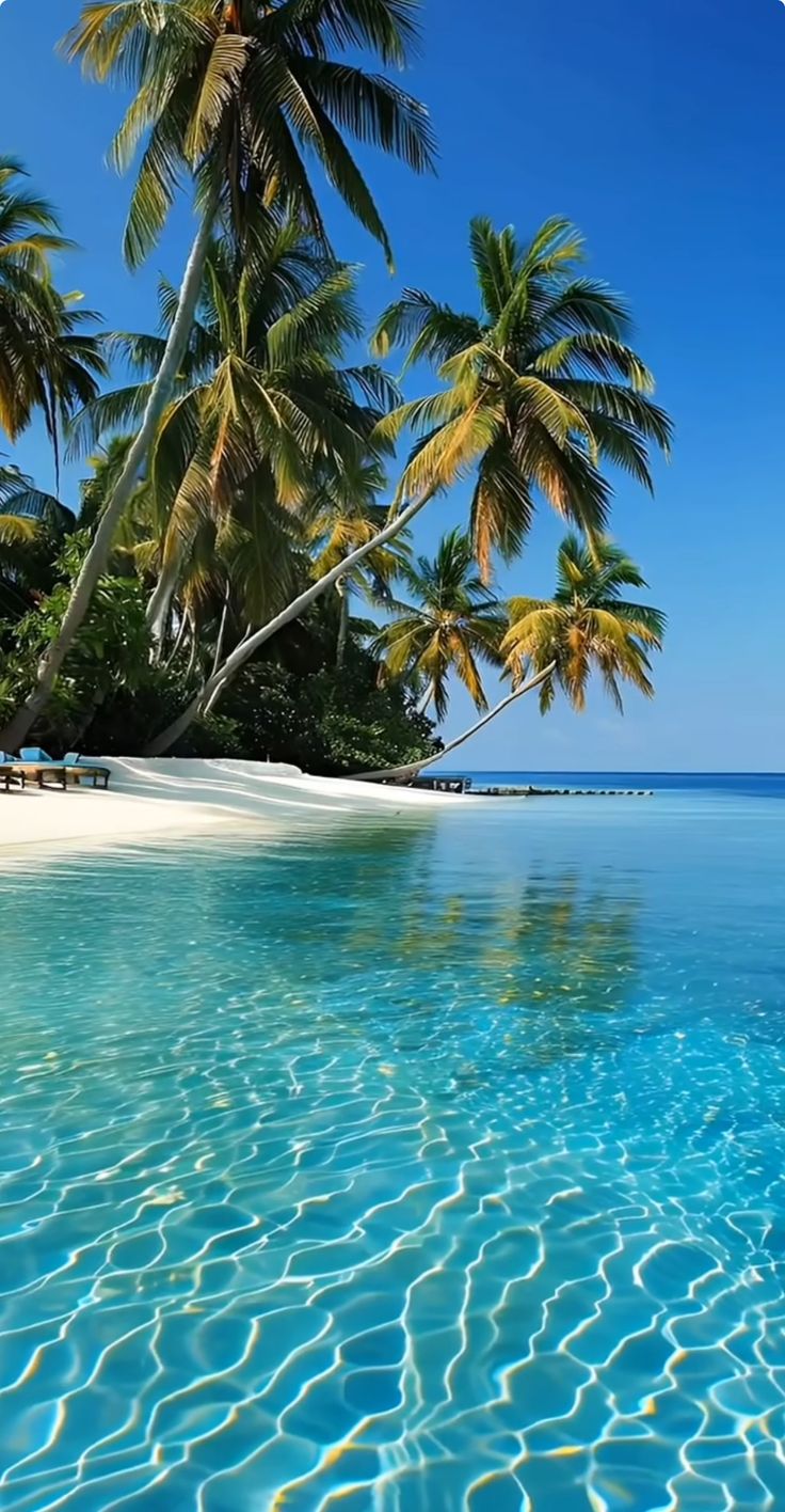 an empty beach with palm trees and blue water in the foreground, under a clear blue sky