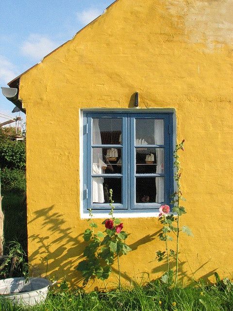 a yellow house with blue windows and flowers in the foreground on a sunny day