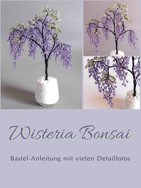 two pictures of flowers in vases with the words, wisteria bonsai