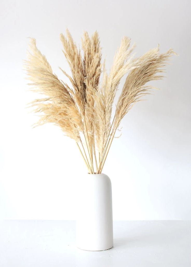 some dry grass in a white vase on a table