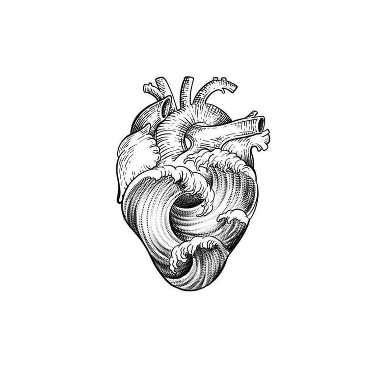 an ink drawing of a heart with waves coming out of the center and two birds on top