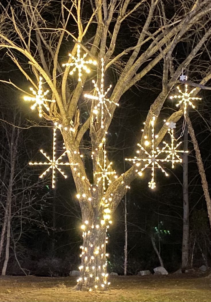 a lighted tree in the middle of a park