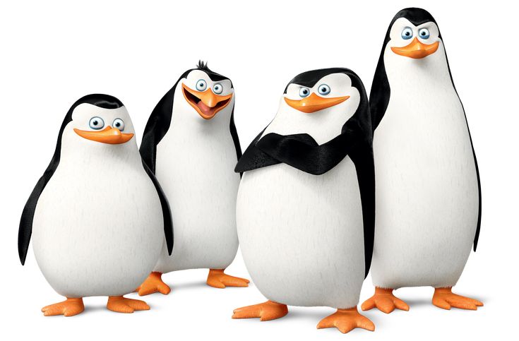 three penguins are standing next to each other and one penguin is wearing a bow tie