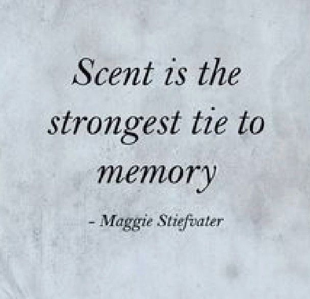 a quote that reads,'scent is the strongest tie to memory - magge stiffatzer