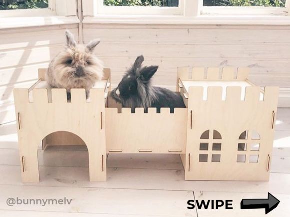 two small dogs sitting on top of wooden castle shaped beds with windows in the background