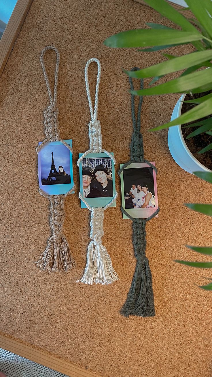 three pictures are hanging on a rope next to a potted plant and other items