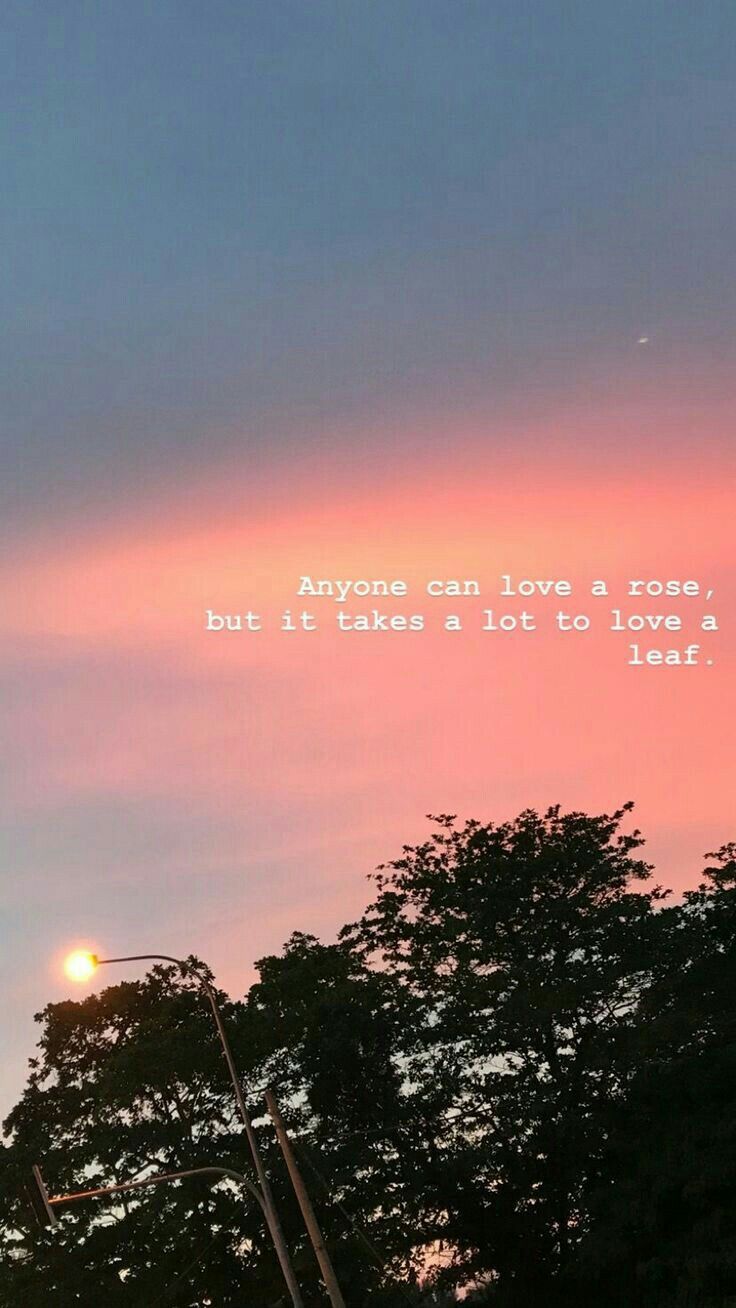 the sky is pink and blue with some trees in front of it that says anyone can love a rose, but it takes at least to love a leaf