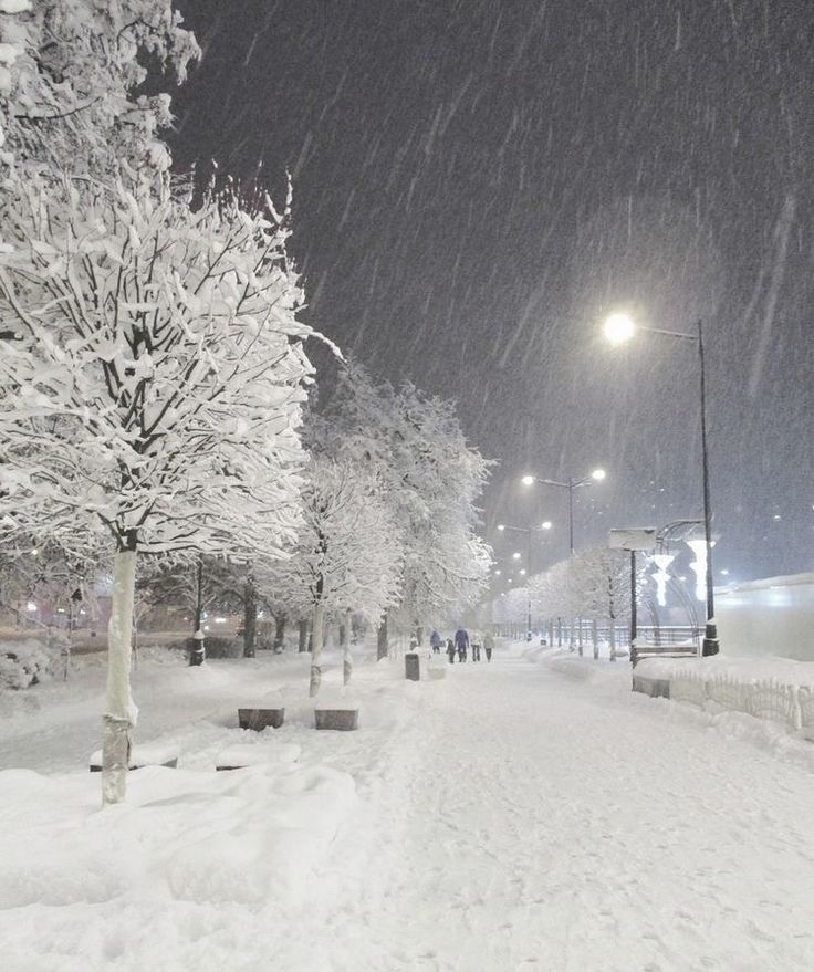 a snowy street at night with people walking on the sidewalk and trees covered in snow