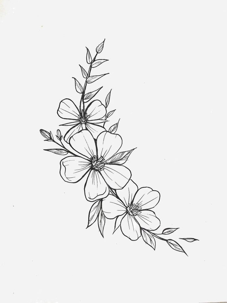 a black and white drawing of some flowers