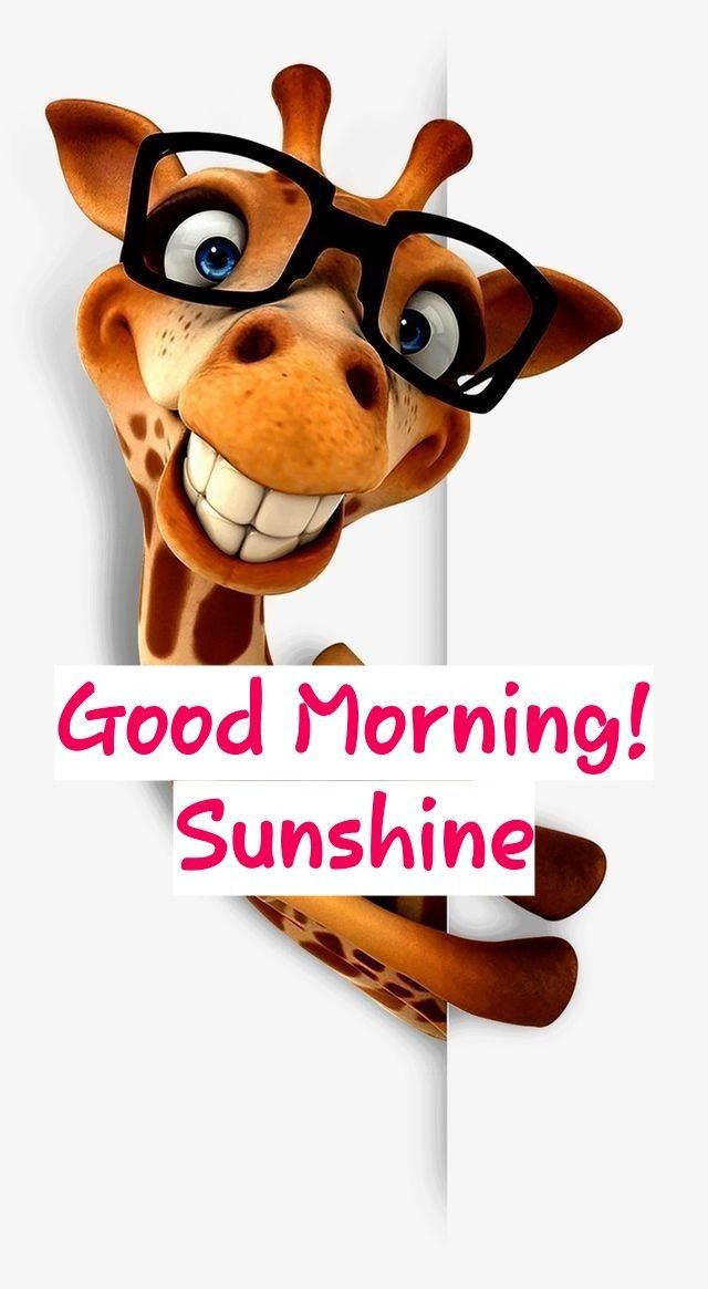 a giraffe wearing glasses holding a sign that says good morning sunshine