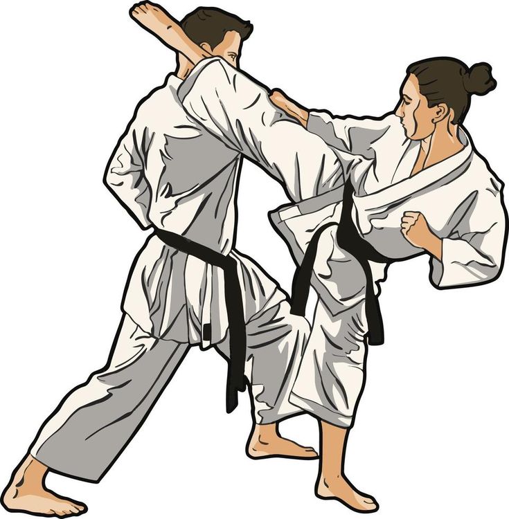 an image of two people doing karate