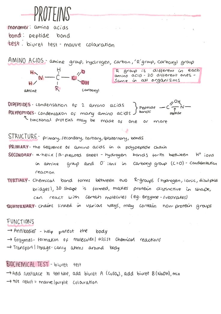 a paper with some writing on it that says proteins and other things to write