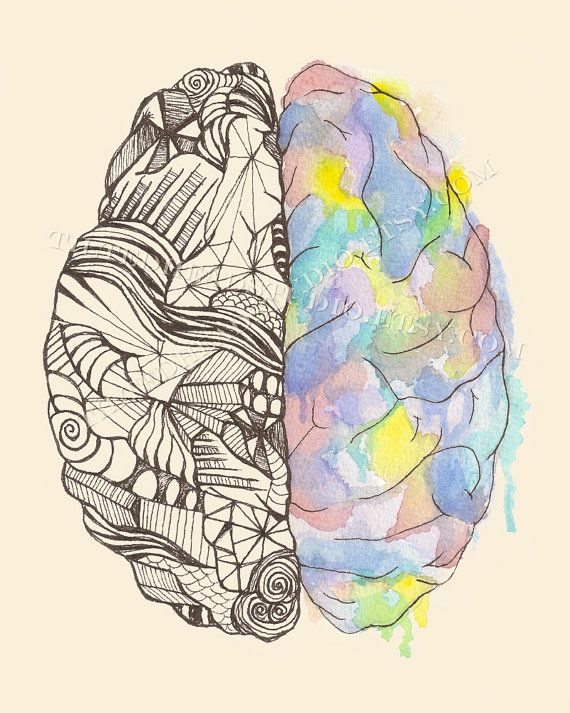 the left and right side of a drawing of a brain with different colors on it