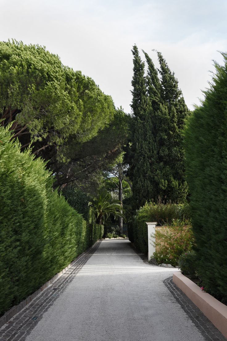 an outdoor walkway lined with trees and bushes