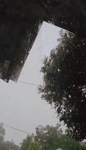 the rain is falling down on trees and buildings in the distance, with one person standing under an overhang