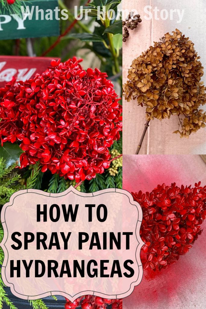 how to spray paint hydrangeas in the garden with text overlay that reads, how to spray paint hydrangeas