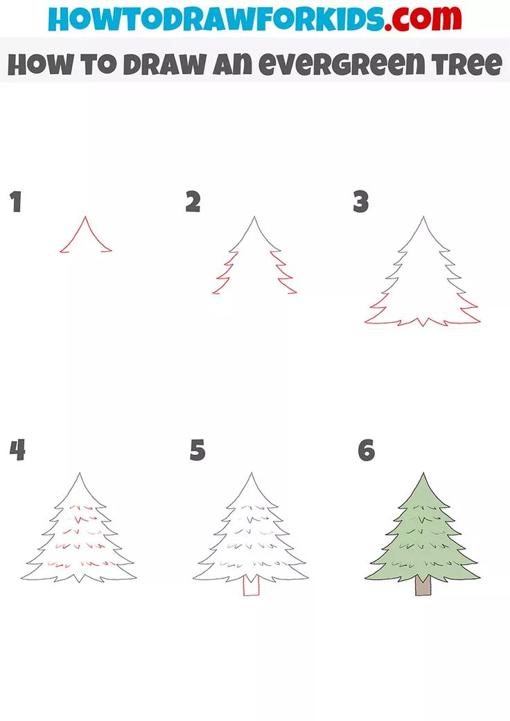 how to draw an evergreen tree in four easy steps step by step instructions for kids