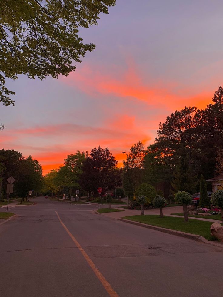 the sun is setting on an empty street with houses in the distance and trees lining both sides