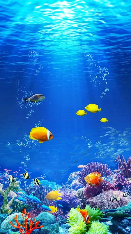 an underwater scene with many different types of fish and corals in the ocean water