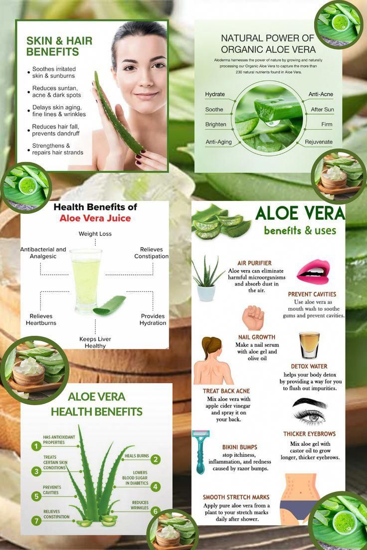 Unlock the Healing Power of Aloe Vera DescriptionDelve into the numerous benefits of aloe veraa versatile plant renowned for its healing propertiesFrom soothing sunburns and moisturizing dry skin to promoting digestive health and boosting immunityaloe vera offers a wide range of therapeutic benefitsRich in vitaminsmineralsand antioxidantsthis natural wonder can be used topically or consumed internally to support overall wellnessExperience the wonders of al #NutritionHealthTips Aloe Vera Juice Benefits, Plant Healing, Ayurveda Diet, Wellness Experience, Boosting Immunity, Benefits Of Aloe Vera, Esthetician School, Aloe Vera Benefits, Aloe Vera For Skin