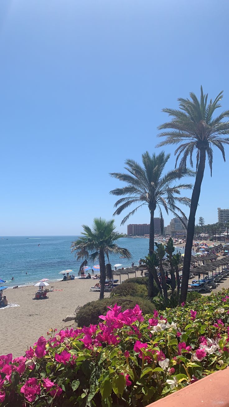 the beach is lined with palm trees and pink flowers in front of the ocean on a sunny day