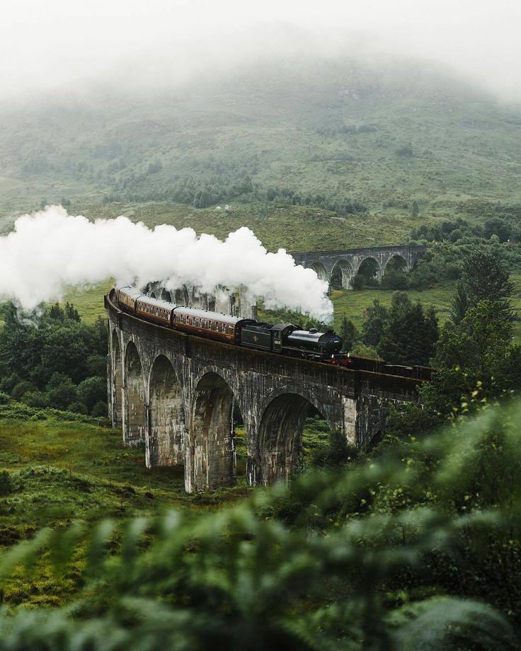 a train traveling over a bridge on top of a lush green hillside covered in fog