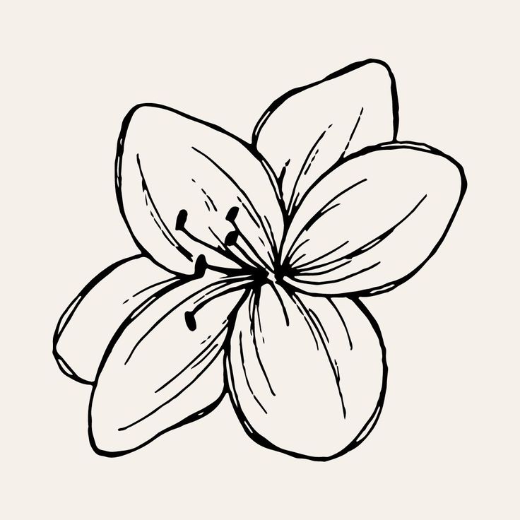 a black and white drawing of a flower