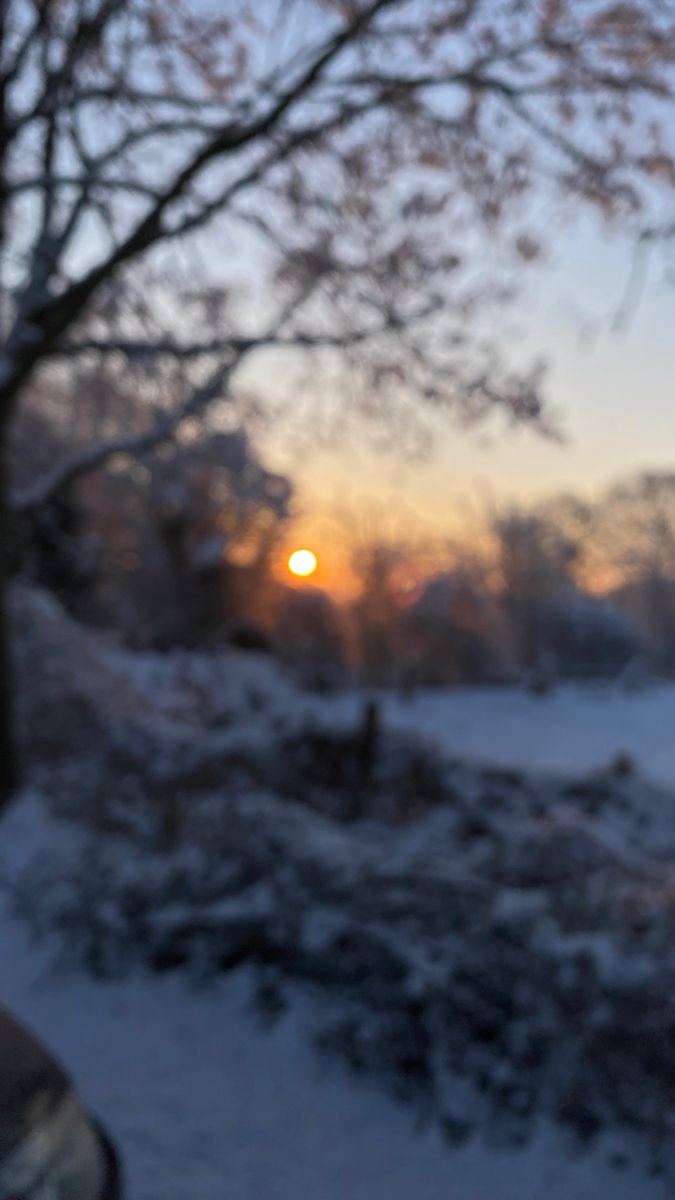 the sun is setting behind some trees in the snow